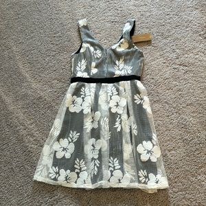 NWT white and black dress from Francesca’s